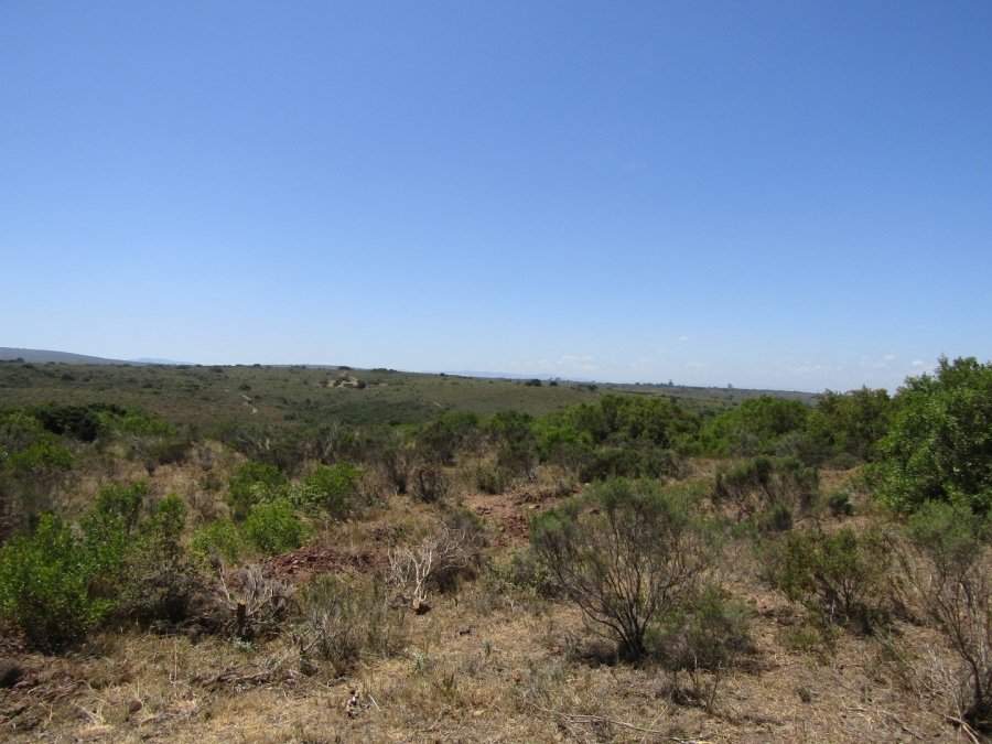 0 Bedroom Property for Sale in Humansdorp Rural Eastern Cape